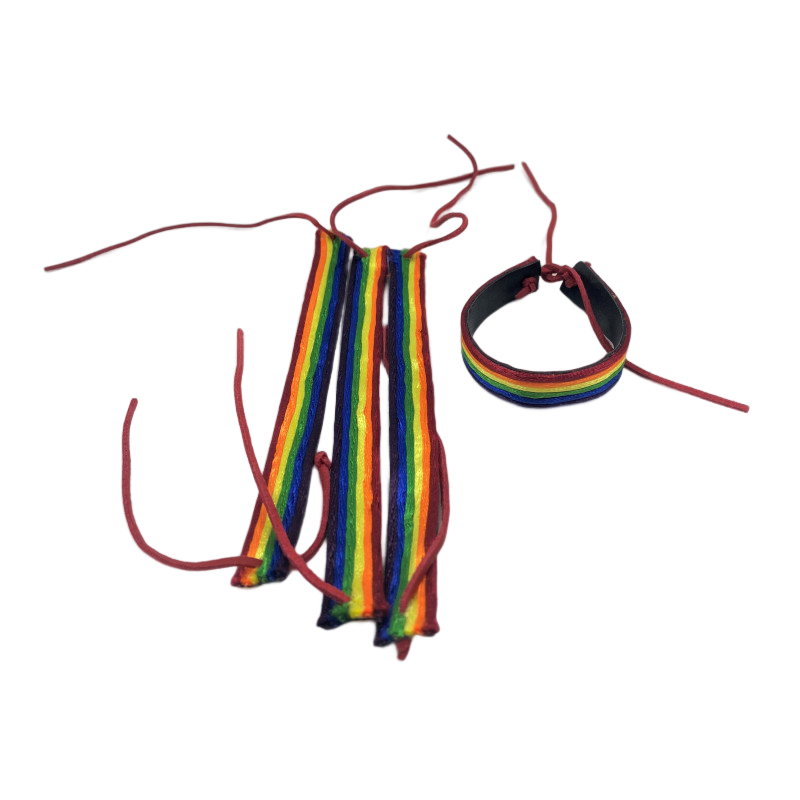 PRIDE - LGTB nahast randmepael