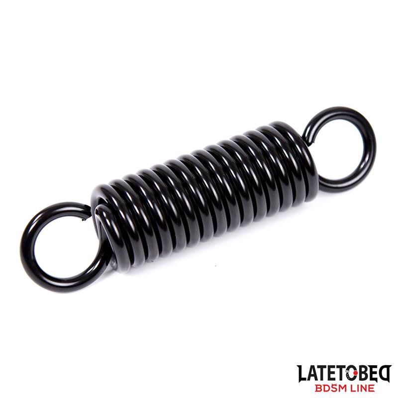 LATETOBED - BDSM lakke kinnitatav kiik