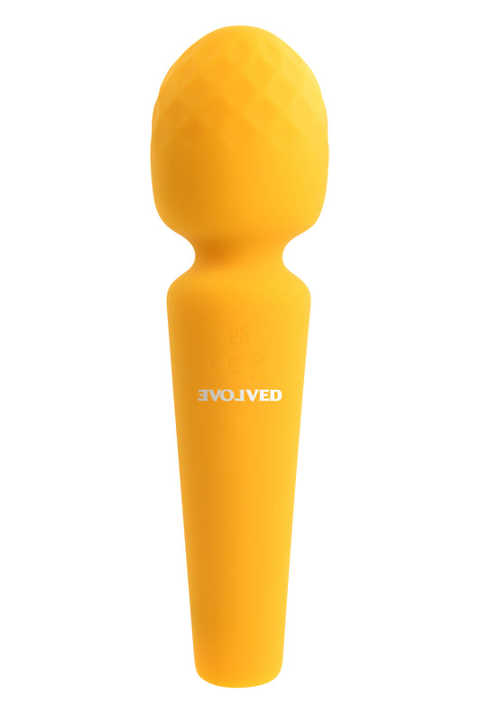 EVOLVED - Päikseline Wand-vibraator "Sunshine"