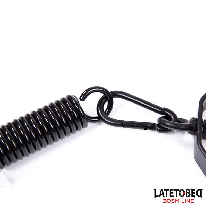 LATETOBED - BDSM lakke kinnitatav kiik